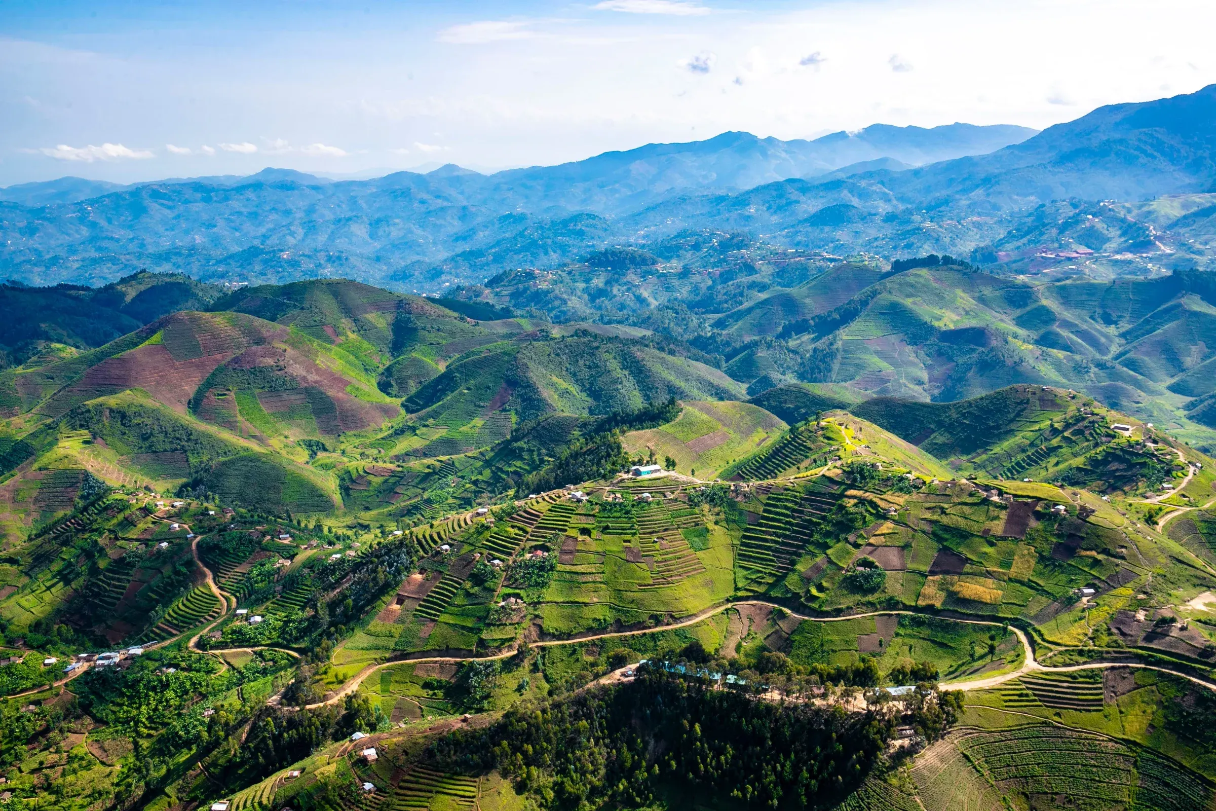 Rwandan farming hills