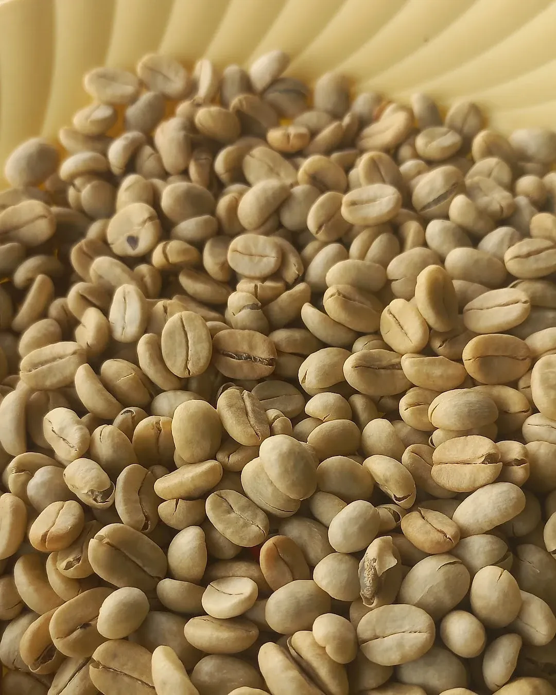 Pale green coffee beans heaped in a cupping bowl.